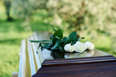 Focus sur le bouquet de plusieurs roses blanches fraîches couchées sur le dessus du couvercle fermé du cercueil en bois debout devant la caméra au cimetière moderne