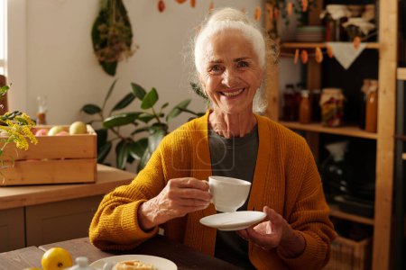 Téléchargez les photos : Heureuse femme âgée aux cheveux blancs tenant une tasse de tisane et une soucoupe tout en étant assise dans la cuisine de la maison de campagne et en vous regardant - en image libre de droit
