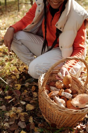 Foto de Sobre el ángulo de la joven feliz sentada en cuclillas en el suelo del bosque cubierto de hojas secas y poniendo boletus recogido en la cesta - Imagen libre de derechos