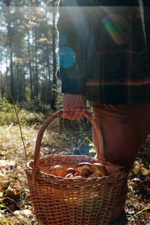 Téléchargez les photos : Partie de jeune homme en tenue décontractée tenant panier avec de nombreuses sortes de champignons tout en se tenant devant la caméra dans la forêt - en image libre de droit