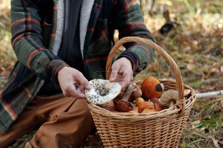 Foto de Manos de hombre joven poniendo hongo fresco gorra de leche en la cesta con surtido de diversos hongos comestibles mientras está sentado en el bosque - Imagen libre de derechos