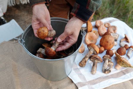 Téléchargez les photos : Mains de jeunes ramasseurs de champignons mâles méconnaissables triant les porcini sur un seau métallique après les avoir cueillis dans la forêt d'automne - en image libre de droit