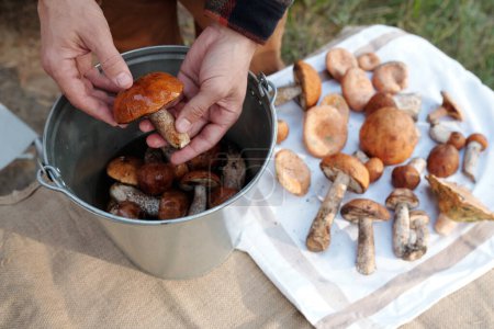 Téléchargez les photos : Mains du jeune cueilleur de champignons mâle sur seau métallique avec des porcini frais les laver et mettre une serviette de lin avec d'autres champignons - en image libre de droit