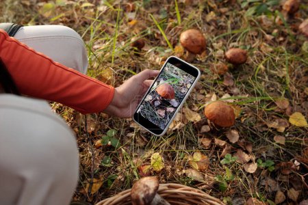 Foto de Encima de la foto de una joven recolectora de hongos tomando fotos de porcini creciendo en el suelo del bosque entre hojas secas y hierba - Imagen libre de derechos