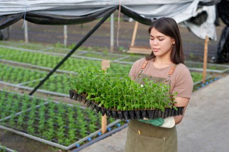 Photo for Young brunette woman in workwear carrying green seedlings in small pots while moving along camera in spacious industrial greenhouse - Royalty Free Image