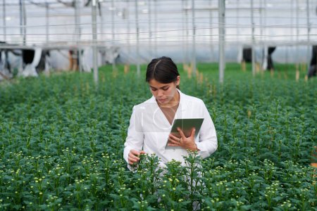 Foto de Científica joven con tableta mirando plántulas de flores verdes altas y estudiando sus características durante la investigación de agroingeniería - Imagen libre de derechos