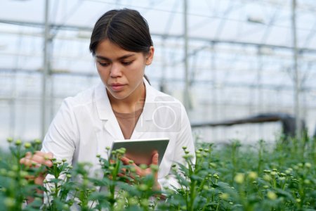 Foto de Enfócate en la joven agrónoma en labcoat de pie frente al parterre con plántulas verdes altas de nuevo tipo de flores - Imagen libre de derechos