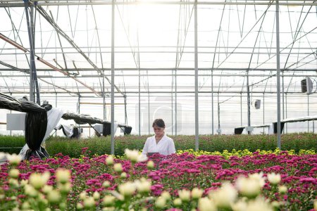 Téléchargez les photos : Long shot de jeune chercheuse debout parmi de larges parterres de fleurs avec des fleurs jaunes et violettes poussant dans une serre industrielle spacieuse - en image libre de droit