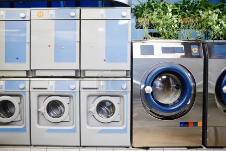 Téléchargez les photos : Rangée de nouvelles machines à laver blanches et bleues debout à côté d'une plus grande argentée avec des plantes domestiques vertes poussant dans des pots de fleurs sur son dessus - en image libre de droit