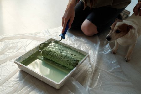 Téléchargez les photos : Main de jeune femme méconnaissable tenant peintre dans un plateau avec de la peinture verte tout en se tenant sur les genoux à côté de Jack Russell Terrier - en image libre de droit