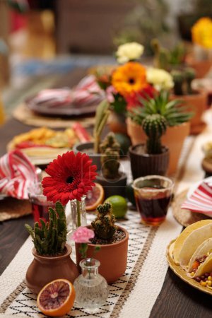 Foto de Composición compuesta de gerberas rojas en vidrio de pie junto a macetas con cactus, botella con rosa rosa y la mitad de naranja dulce o pomelo - Imagen libre de derechos
