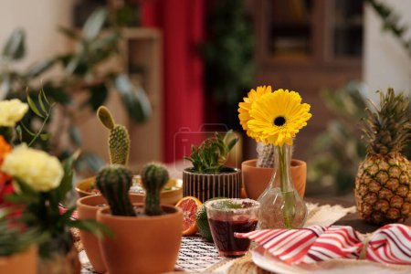 Téléchargez les photos : Deux belles gerberas jaunes dans un vase debout parmi des pots de fleurs avec des fleurs domestiques, des fruits frais, un verre de tequila et d'autres choses - en image libre de droit