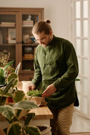 Téléchargez les photos : Jeune homme en chemise vert foncé se penchant sur le rebord de la fenêtre avec des germes de blé vert poussant dans une petite boîte et prenant soin des semis - en image libre de droit