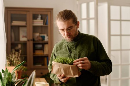 Téléchargez les photos : Homme moderne dans des lunettes de vue regardant les microbes de blé vert minuscules dans une petite boîte dans ses mains tout en prenant certains d'entre eux pour la cuisson des aliments sains - en image libre de droit