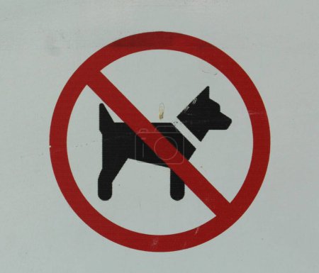 Téléchargez les photos : Il est interdit aux chiens d'entrer dans le parc - en image libre de droit