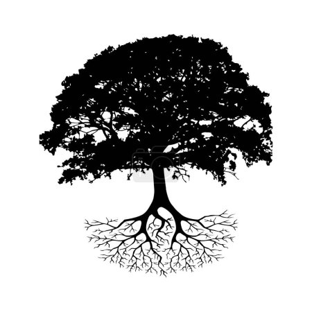 Ilustración de Silueta de árbol aislada sobre fondo blanco - Imagen libre de derechos