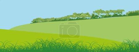 Colinas rurales paisaje vector fondo en blanco. Hierba de pasto para vacas. Prados y árboles. Horizonte.