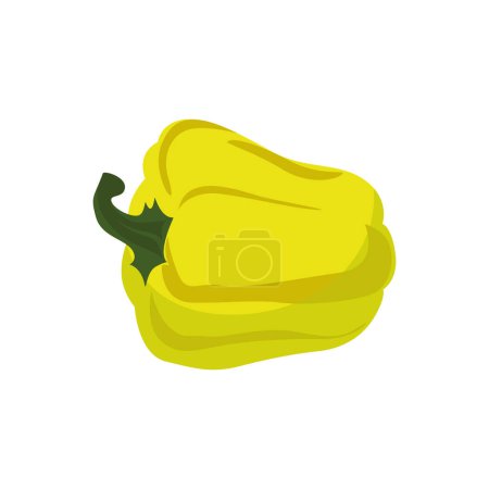 Illustration for Yellow sweet pepper. Fresh bell pepper. Paprika. Vegetable organic food. Vector illustration. - Royalty Free Image