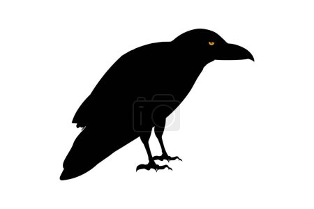 Illustration for Raven silhouette Flat Icon vector illustration Clipart - Royalty Free Image