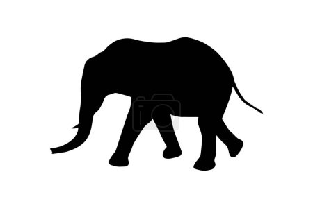 Téléchargez les illustrations : African Bush Elephant Black Silhouette vecteur - en licence libre de droit