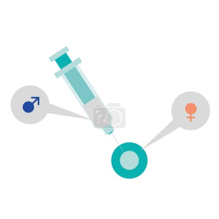 Illustration for Syringe and egg ovum with injected sperm vector illustration. Artificial insemination symvol. IVF In Vitro Fertilization Icon. - Royalty Free Image