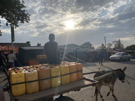 Téléchargez les photos : Addis Ababa, Ethiopia - January 9, 2023: A person carrying yellow jerry cans of drinking water on a chariot pulled by a donkey. He is on the road to Addis Ababa. Photo taken against the light. - en image libre de droit