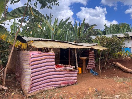 Foto de Pequeña tienda de comestibles hecha de láminas de hierro corrugado, bambú y láminas de plástico, rodeada de palmeras con un hermoso cielo azul y nublado en un camino de tierra en la región de Sidama, Etiopía, África - Imagen libre de derechos