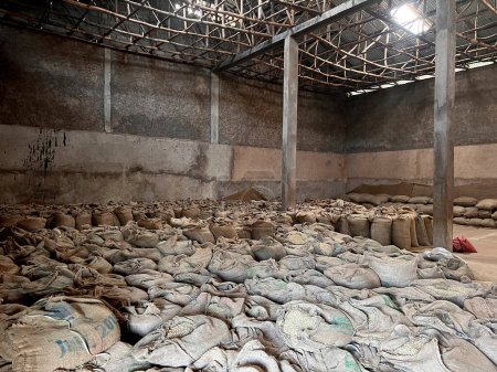Photo for Stock of green coffee beans in large canvas bags stored in a warehouse in the Sidama region of Ethiopia waiting to be sold - Royalty Free Image