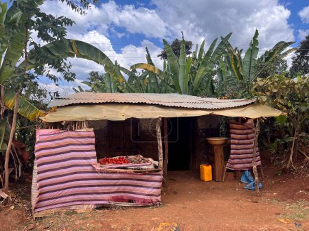Foto de Small grocery shop made of corrugated iron sheets, bamboo, and plastic sheeting, surrounded by palm trees with a beautiful blue and cloudy sky on a dirt road in the Sidama region, Ethiopia, Africa - Imagen libre de derechos