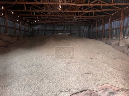 Photo for Stock of green coffee beans stored in a warehouse in the Sidama region of Ethiopia - Royalty Free Image