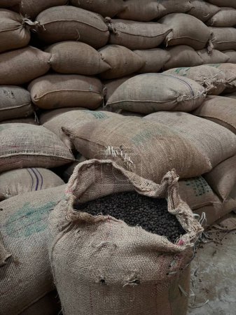 Téléchargez les photos : Textile bag filled with roasted coffee beans waiting to be sold, Sidama, Ethipoia - en image libre de droit