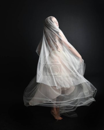 Photo for Full length portrait of beautiful woman wearing white gown dress with flowing ghostly veiled fabric, isolated on dark studio background. - Royalty Free Image
