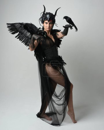 Photo for Full length portrait of female model wearing gothic horned headdress with halloween black dress and fantasy angel feather wings. Standing walking, holding pose bird prop. Isolated studio background - Royalty Free Image