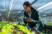 Young woman smart farmer or agronomist, using tablet checking quality, with organic farm fresh green vegetables products, concept digital technology smart farming agriculture and smart farming Poster #626844310