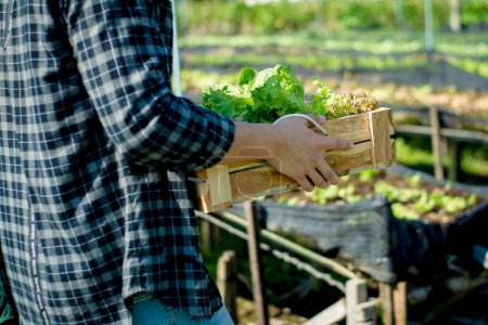 Photo for Young asian male farmer holding holding a wooden crate basket with full of fresh raw vegetables in garden greenhouse farm background,concept healthy organic food, agriculture business and smart farmer - Royalty Free Image