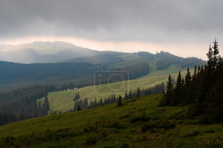 Photo for Seasonal houses in the mountains, houses of cow and sheep herders in the Carpathians of Ukraine, farming in the Carpathians. - Royalty Free Image