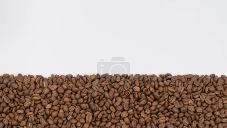 Téléchargez les photos : Café en grains disposés en une large rangée sur un fond blanc, lieu d'inscription et de publicité, espace de copie. - en image libre de droit