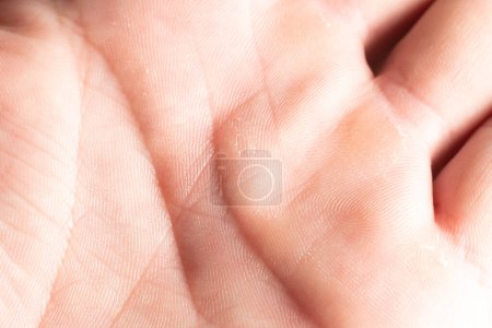 Photo for Human palm and life lines close-up, palmistry science, white man's palm. - Royalty Free Image
