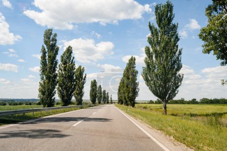 Foto de Rutas de transporte de motor entre los árboles asfaltado en Ucrania período de preguerra, Nuevas carreteras de Ucrania. - Imagen libre de derechos