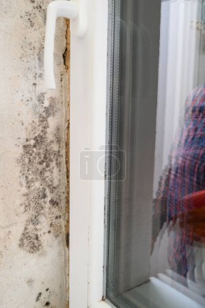 Photo for Mold in the corner of the window and on the window, dangerous and harmful mold in the house on the walls, display in the window. - Royalty Free Image