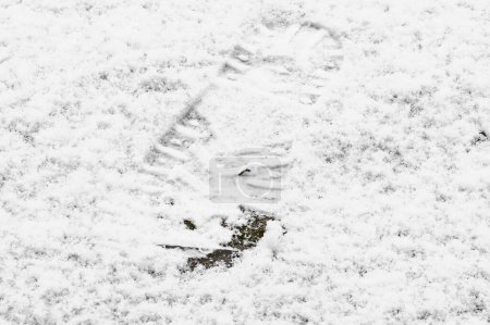 Téléchargez les photos : La marque d'une botte pas à pas mans dans la neige - en image libre de droit