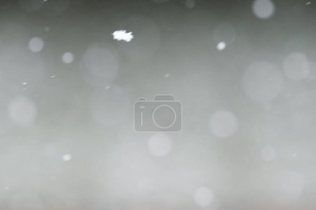 Photo for Falling snowflakes on night sky background, isolated for post production and overlay in graphic editor. Bokeh of white snow on a square shape gray background. - Royalty Free Image