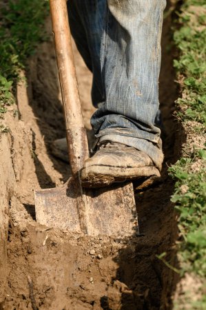 Photo for A man shovels a trench for drainage and sewage, close up. - Royalty Free Image