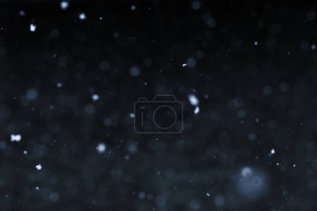 Photo for Bokeh of white snow on a black background. Snowfall - new design element. - Royalty Free Image