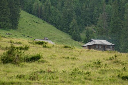 One holiday house in the Carpathian mountains, sheep farm in the highlands.