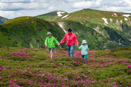 Photo for A mother with her son and daughter are walking among rhododendron bushes against the background of the majesty of the Carpathian Mountains, active summer vacation with children. - Royalty Free Image