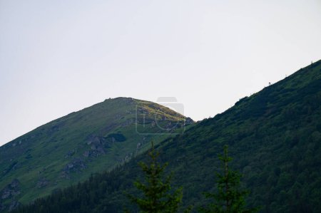Mount Vukhaty Kamin in the Carpathians of Ukraine, summer in the mountains with a clear sky and sunny weather.