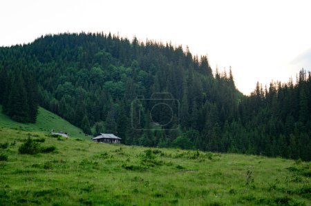 One house in the mountains against the background of the forest and the sky, a house for farmers.