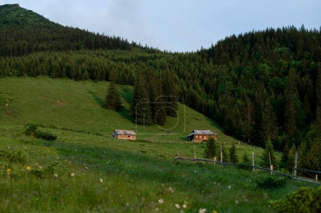 Houses in the mountains for farmers, Carpathian Sheep cheese factory.