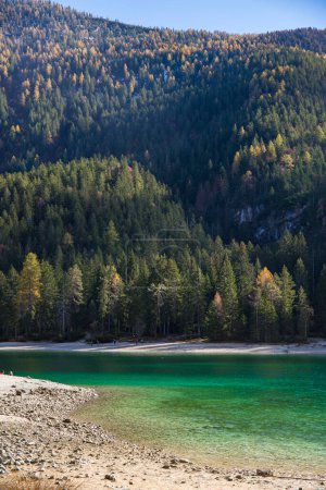 Foto de Vista de otoño del lago Tovel, Trentino Alto Adigio, Italia. Disparo vertical. - Imagen libre de derechos